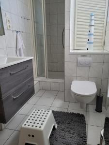 a bathroom with a toilet and a shower and a scale at 4 Sterne Dtv Floating House in Kröslin