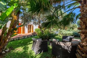 een tuin met stoelen en een palmboom bij Villetta Cala Rossa in Terrasini