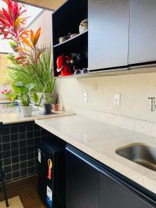 una cocina con fregadero y una barra con plantas en Apartamento Duplex Vista Mar em Natal, en Natal