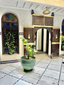 Fotografie z fotogalerie ubytování Riad La Vie v Marrákéši