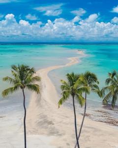 two palm trees on a beach with the ocean at Cantinho da Mari - Maragogi in Maragogi