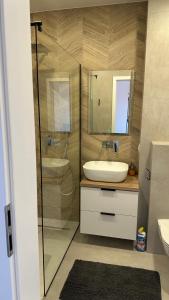 W łazience znajduje się umywalka i przeszklony prysznic. w obiekcie Apartamenty Mickiewicza40 w mieście Śrem