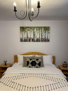 a bedroom with a large white bed with a chandelier at Ana Cabana, colt de rai: Aer, Munte, Apa 