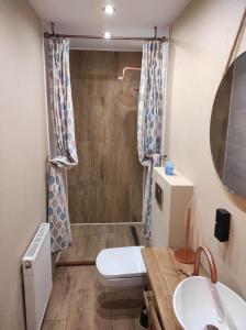 ヤボジンカにあるGościniec Śliwkulaのバスルーム(トイレ、洗面台、シャワー付)