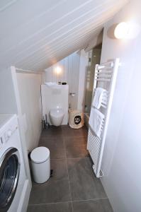 La salle de bains est pourvue d'un lave-linge et de toilettes. dans l'établissement Appartement Bellevue - centre ville, à Chamonix-Mont-Blanc