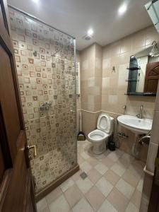 La salle de bains est pourvue d'une douche, de toilettes et d'un lavabo. dans l'établissement Alex, à Erevan