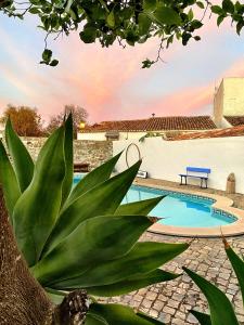 uma planta em frente a uma piscina em Casa do Torreão em Salir