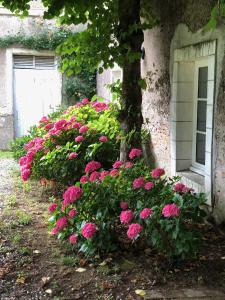 un ramo de flores rosas alrededor de un árbol en Gîte La Sellerie en Les Sorinières