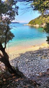 a view of a beach with trees and the water at Villa Maria 1 in Paleokastritsa