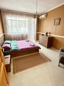 1 dormitorio con 1 cama y ventana en una habitación en Ruski Boulevard, en Plovdiv