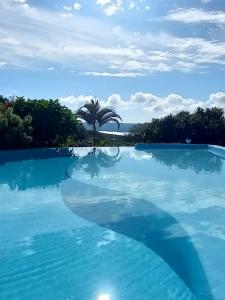 ein großer Pool mit einer Palme im Hintergrund in der Unterkunft CASA DE CAMPO SENHORA SANTANA in Rio de Contas