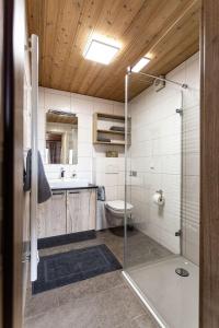 a bathroom with a shower and a toilet and a sink at Trollenhof im Allgäu - Ferienwohnungen Aggenstein in Rückholz