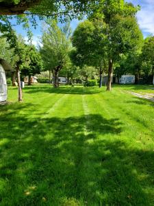 a green lawn with trees in a park at Camping Pilzone in Iseo
