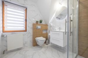 a bathroom with a toilet and a sink and a shower at Tatrzański 22 - Komfortowy dom w górach in Leśnica