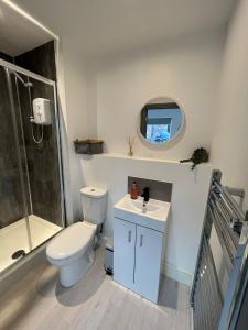 a bathroom with a toilet and a sink and a shower at Guest Homes - Eign Street Apartments in Hereford