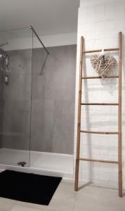 eine Dusche mit Glastür und Leiter in der Unterkunft Casa das Falcoeiras - Estúdio com terraço privado in Aveiro