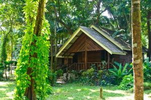 a small wooden cabin in the middle of a forest at Khao Sok Riverside Cottages in Khao Sok National Park