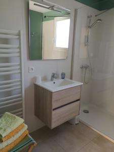 een badkamer met een wastafel, een spiegel en een douche bij Chèvrefeuille gîte & chambre d'hôtes in Moltig les Bains