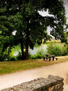 een park met twee banken en een boom en water bij STUDIOS La Varenne Saint Maur entre PARIS ET DISNEYLAND in Saint-Maur-des-Fossés