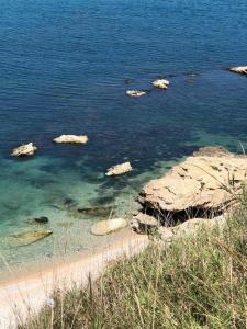 um corpo de água com pedras e uma praia em Dèpendance immersa tra gli ulivi em Cologna