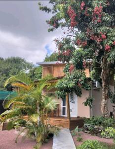 une maison avec un arbre planté de fleurs rouges dans l'établissement LA PLANTATION, à Saint-André