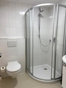 een badkamer met douche en toilet bij Apartment 15 in Allersberg +8 foto's