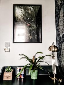 Fotografie z fotogalerie ubytování Whole Stylish Apartment 1880s Guinness Worker House v destinaci Dublin