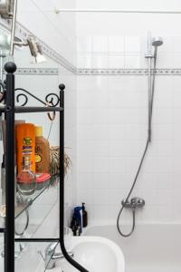 ein Bad mit einem Waschbecken und einer Dusche in der Unterkunft Altbauschatz am Alsergrund, Nähe Innere Stadt in Wien