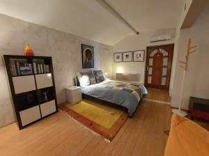 ein Schlafzimmer mit einem Bett und einem Bücherregal in der Unterkunft La crique de l'evole in Neuenburg
