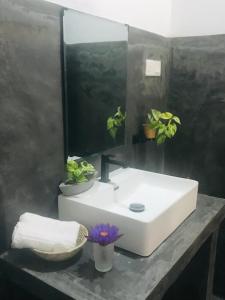 ein Badezimmer mit einem weißen Waschbecken und einem Spiegel in der Unterkunft The wild culture in Sigiriya