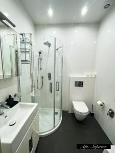 Un baño con ducha, inodoro y lavabo. en Apartments in the heart of Prague, en Praga