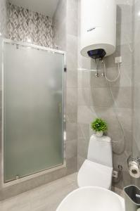 ein Badezimmer mit einem weißen WC und einem Spiegel in der Unterkunft New Apartment near Railway Station 1A in Kiew