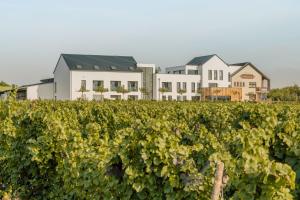 PalzemZeit bei Sauerweins的葡萄园里的一排房子