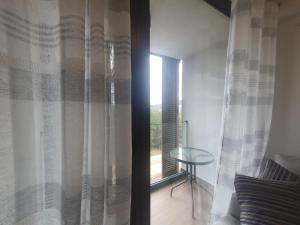 O zonă de relaxare la Divcibor 23