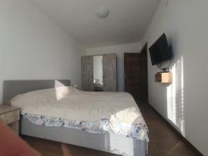 Un pat sau paturi într-o cameră la Divcibor 23