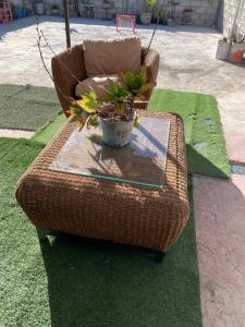 uma cadeira de vime com um vaso de plantas sobre uma mesa em Habitación privada peña em Querétaro
