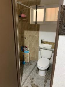 ケレタロにあるHabitación privada peñaのバスルーム(トイレ、洗面台付)