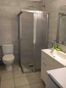 Koupelna v ubytování Cozy Studio aux Trois Ilets + 20 fotografií