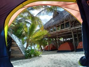 a tent on the beach with a palm tree at Chavez Eco Beach Camping and Cabañas in Tulum +29 photos