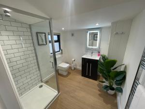 a bathroom with a shower and a toilet and a sink at Sumners Ponds Fishery & Campsite in Horsham
