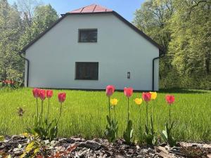 un grupo de tulipanes frente a una casa blanca en Chalupa Pod Lipami en Potštejn