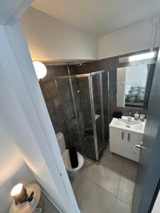 a bathroom with a shower and a toilet and a sink at Studio jungle chic in Le Tampon