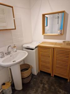 une salle de bain avec un lavabo et un miroir dans l'établissement Appartement tout confort montagne et lac Léman, à Thollon-les-Mémises 28 autres photos