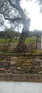 Fotografie z fotogalerie ubytování Finca el Berezal v destinaci Aracena