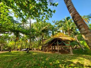 a hut in a field with palm trees at Derek's Place Eco-Lodge in Little Corn Island