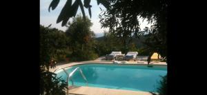 - une piscine avec 2 chaises longues à côté dans l'établissement Hikers Villa Trail 5 & 6, à Skiathos Chora