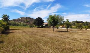 a field with trees and a mountain in the background at Podere Il Ritorno in Portoferraio