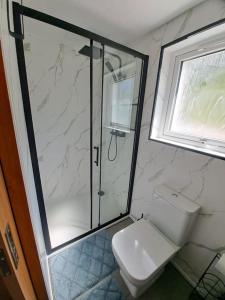 a bathroom with a toilet and a glass shower at NC500 - Modern croft house at Handa in Scourie