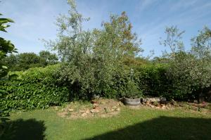 Zahrada ubytování Agriturismo San Vincenzo