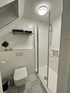 a bathroom with a shower and a toilet at Schweier Krug in Schwei